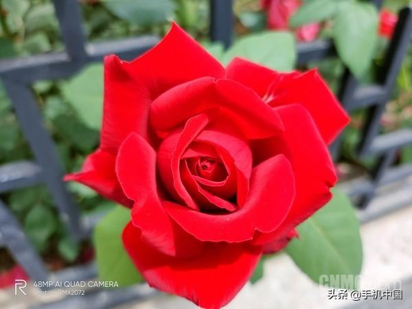 真我x50pro玩家版参数配置（realme x50 pro 玩家版值得购买吗）(14)