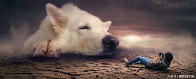 怎么把照片合成一张图片（手机两张图片合成一张的详细教程）(2)