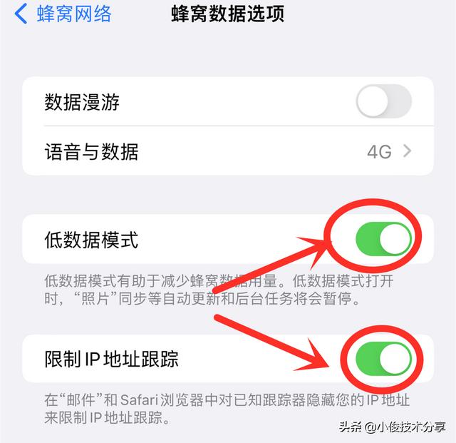 苹果手机如何提高网速（苹果手机网速太慢怎么办教你一招）(5)