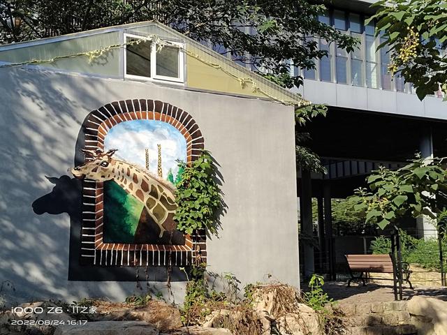 iqooz6手机参数配置(iqoo z6全面评测)(20)