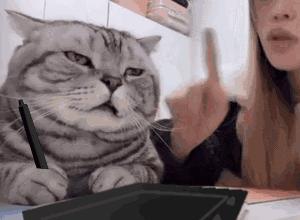 如何让电脑提速（电脑优化系统详细教程）(39)