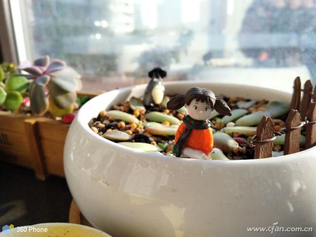 360n6pro手机怎么样(360n6 pro值得买吗)(57)