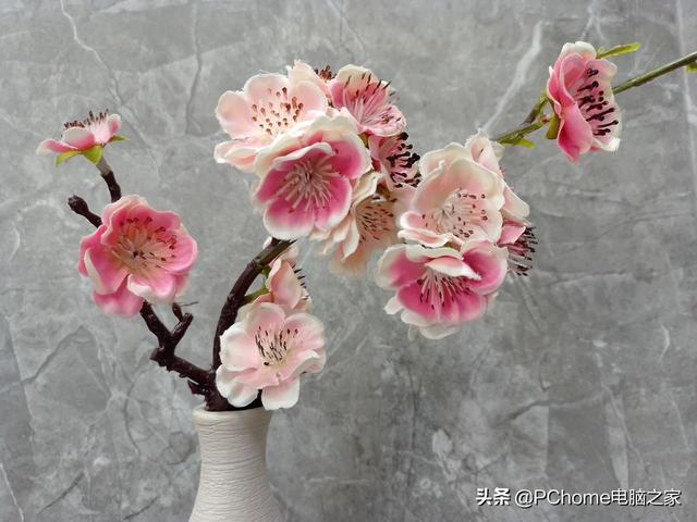 乐视手机怎么样（乐视s1值得买吗）(6)