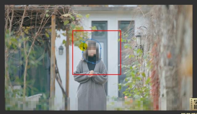 怎么给视频打马赛克（一分钟教你制作马赛克的方法）(8)