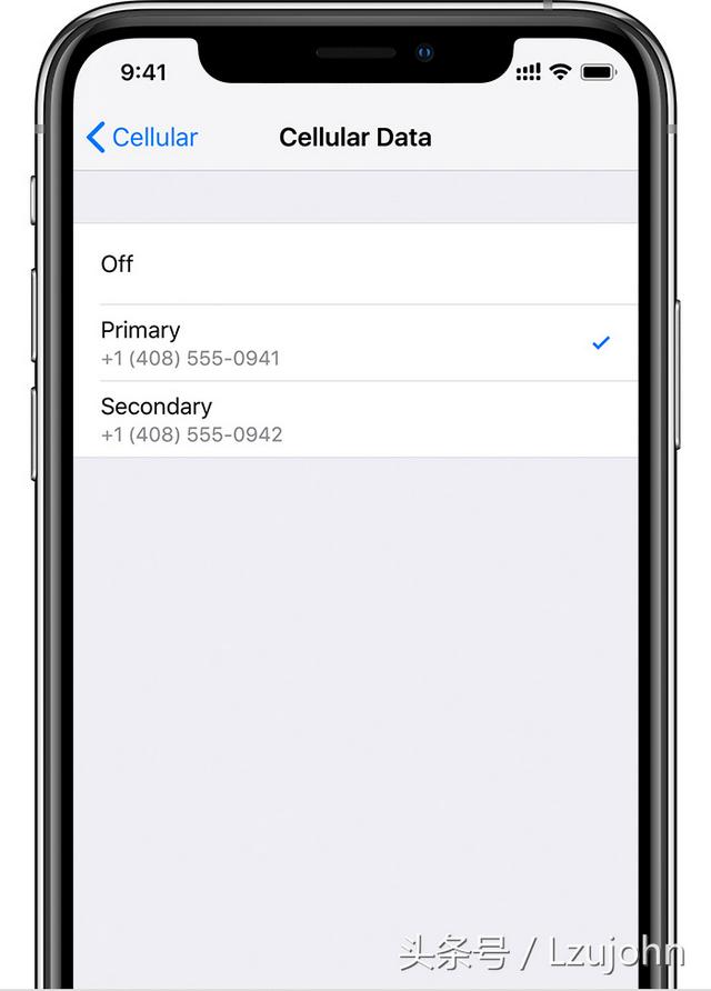 苹果xsmax双卡怎么用（iphonexs max双卡双待最新方法）(9)