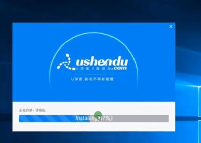 u盘系统盘制作详细教程（u盘怎么弄成系统盘）(3)