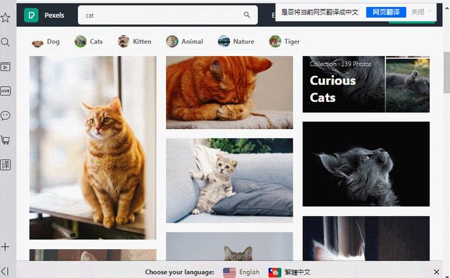 电脑自带截图快捷键是什么（电脑的8种截图功能介绍）(7)