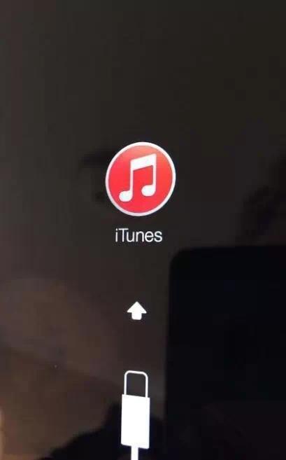 iphone已停用怎么办（苹果手机停用最简单的解决方法）(5)