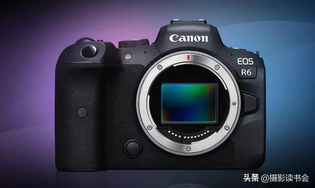 如何选购数码相机（新手学摄影相机推荐）(6)