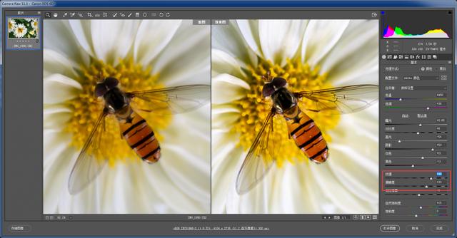 ps提高图片清晰度的方法（用ps怎样让照片更清晰）(1)