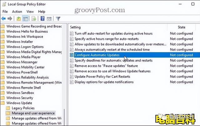 windows自动更新怎么关闭（win11关闭自动更新的4种方法）(11)