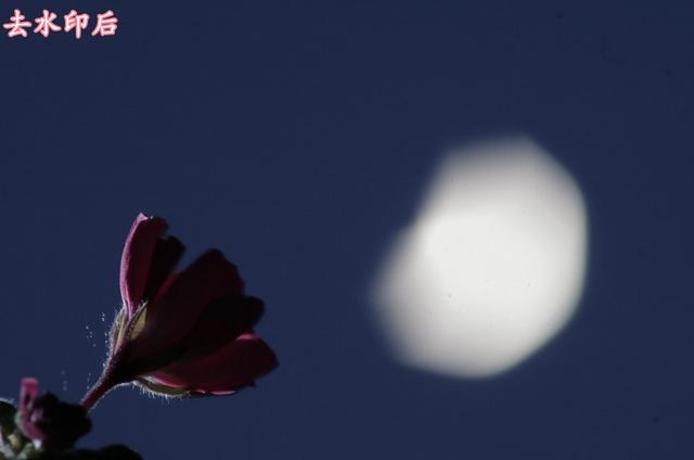 图片怎么去水印文字（图片去水印最简单的方法）(5)