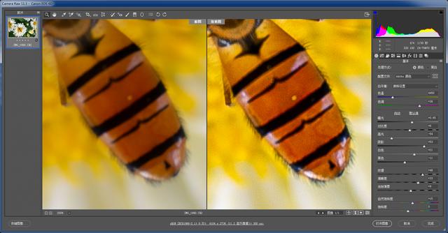 ps提高图片清晰度的方法（用ps怎样让照片更清晰）(2)