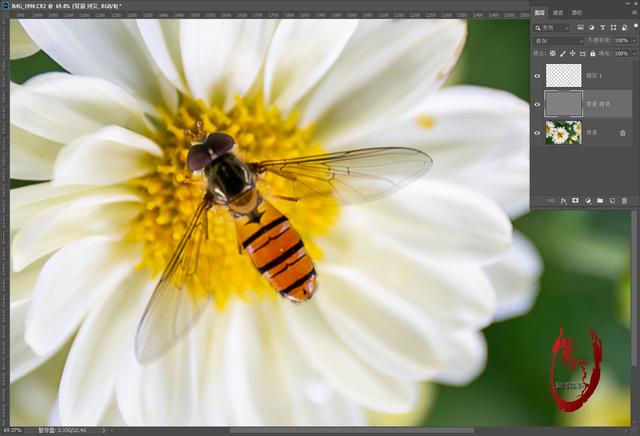 ps提高图片清晰度的方法（用ps怎样让照片更清晰）(7)