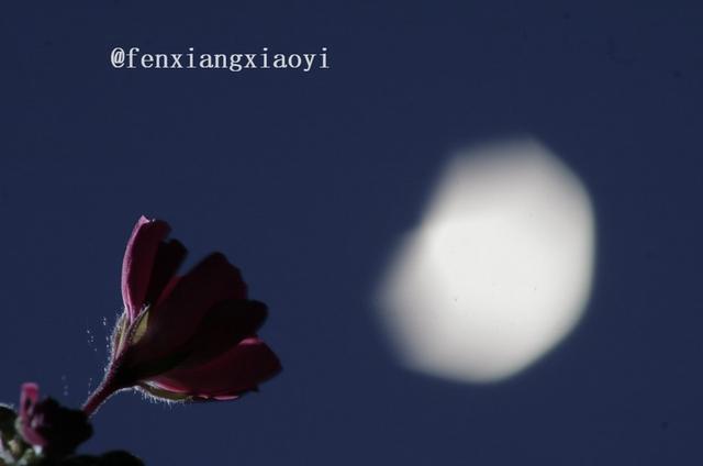 图片怎么去水印文字（图片去水印最简单的方法）(2)