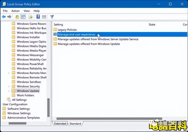 windows自动更新怎么关闭（win11关闭自动更新的4种方法）(10)