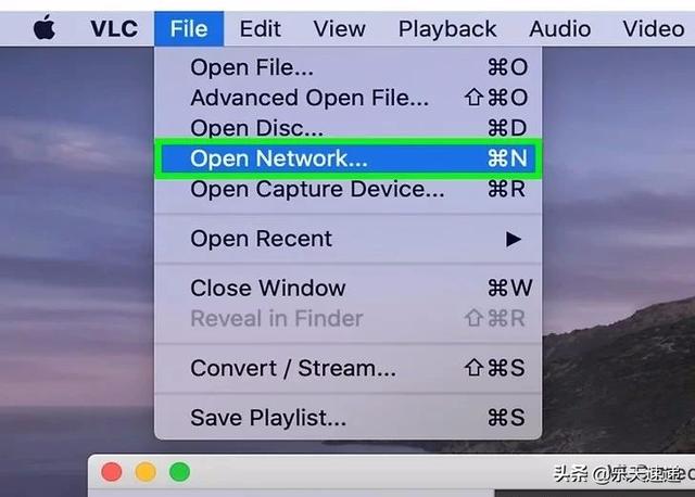 怎样下载youtube（教你3种方法下载YouTube视频）(12)