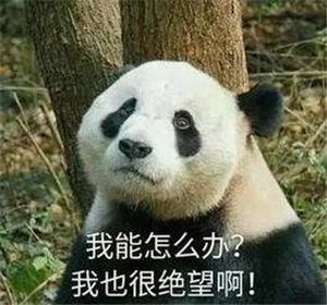 word如何打勾在方框（在文档中打勾的3种炫酷的方法）(1)