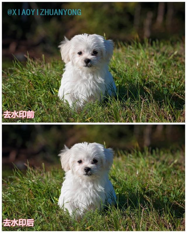 图片怎么去水印文字（图片去水印最简单的方法）(7)