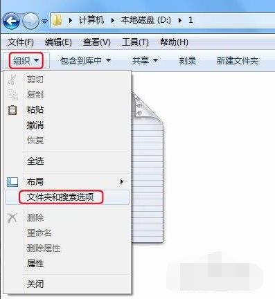 windows7后缀名隐藏了怎么打开（windows7如何显示文件的后缀名）(2)