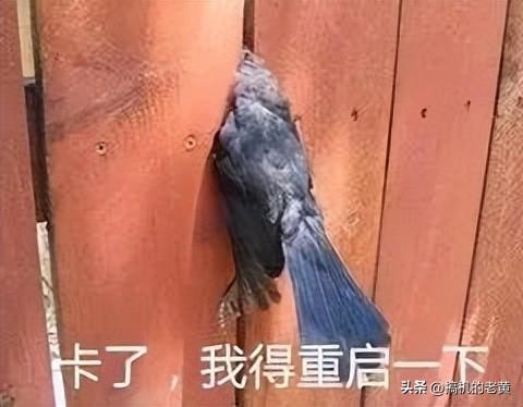 笔记本电脑蓝屏怎么办（电脑总是出现蓝屏的解决办法）(4)