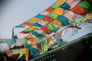 佳能1300d怎么样（佳能eos1300d值不值得买）(28)