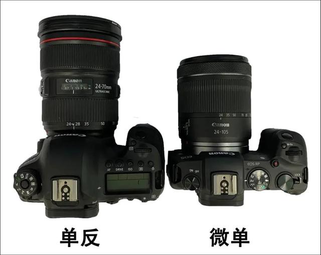 微单和单反怎么选择哪个好(单反和微单有啥区别)(4)