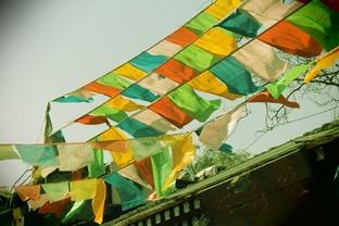 佳能1300d怎么样（佳能eos1300d值不值得买）(29)