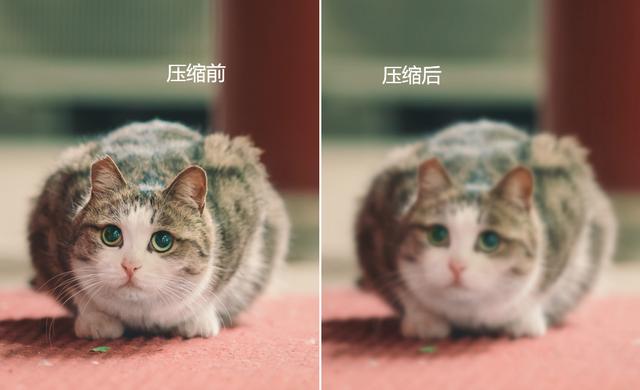 怎么让图片变小（调整图片大小的4个方法）(4)