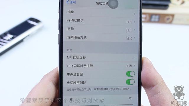 苹果手机录屏功能在哪里（苹果手机开启录屏功能的操作方法）(12)