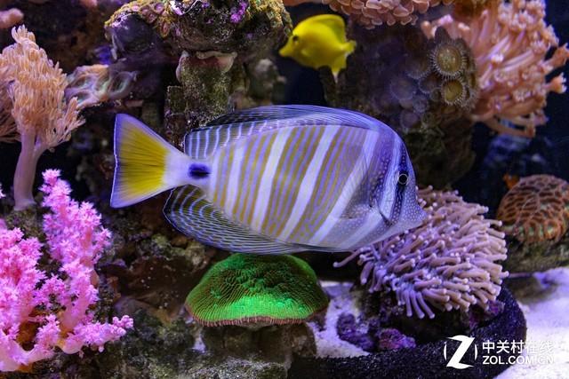 佳能1500d值得入手吗（佳能1500D/3000D评测）(21)