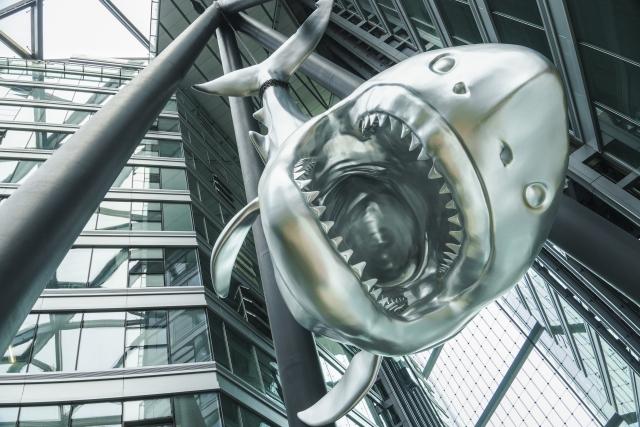 索尼a6300值得买吗(索尼a6300套机使用感受)(5)