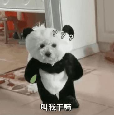 怎么制作表情包动态图（gif表情包的制作方法）(5)