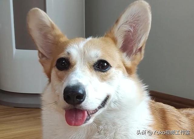 笔记本如何验机（电脑验机最简单的方法）(7)