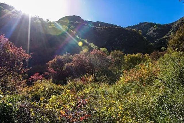 遮光罩的作用是什么（遮光罩用途详解）(1)