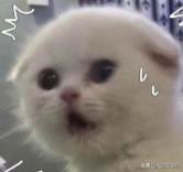 微信聊天视频在哪个文件夹（微信在不登录的情况下查聊天记录方法）(2)