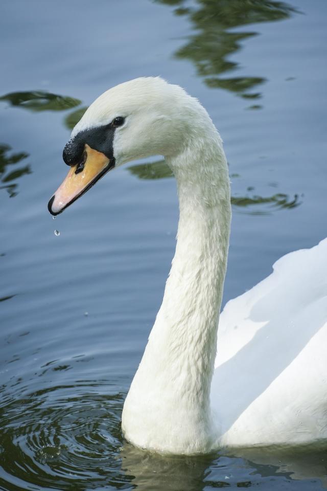 索尼a6300值得买吗(索尼a6300套机使用感受)(8)