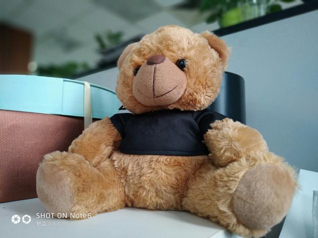 魅蓝note6怎么样（魅蓝Note6体验评测）(9)