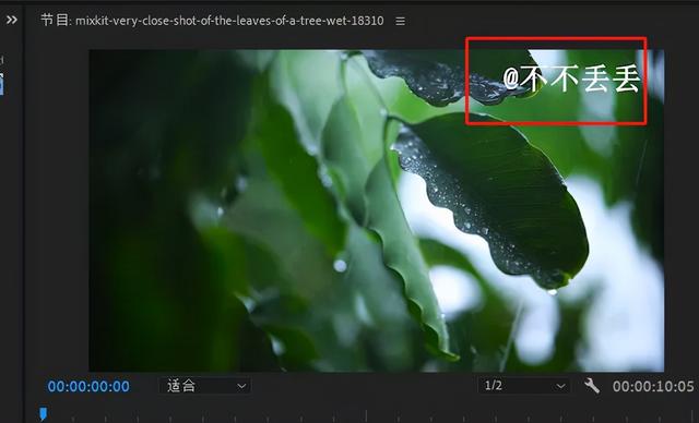 怎样才能把抖音视频的水印去掉（抖音教会我3种视频去水印的方法）(5)