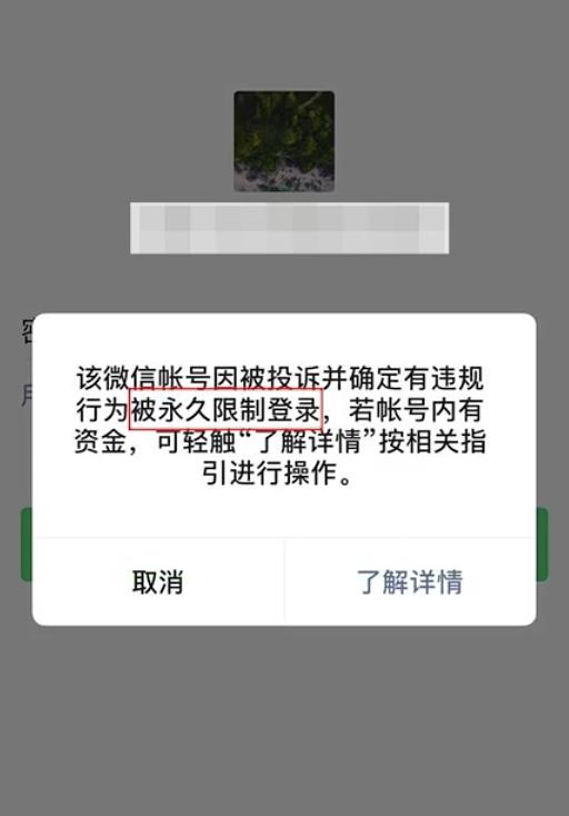 微信为什么登不上(微信被限制登录该怎么办)(6)