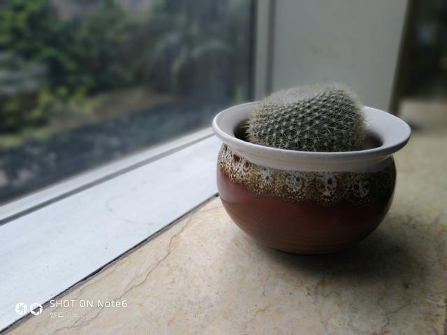 魅蓝note6怎么样（魅蓝Note6体验评测）(10)