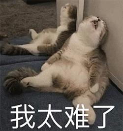 怎么删除页眉上的一条横线(彻底去除word页眉横线操作方法)(1)