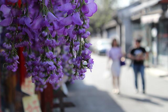 佳能1300d怎么样（佳能eos1300d值不值得买）(18)