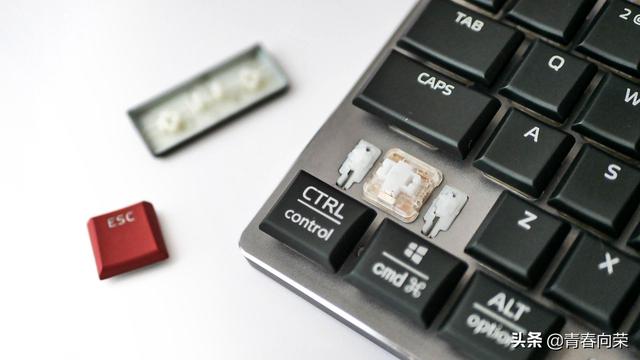 狼蛛机械键盘怎么样（狼蛛F2090超薄无线机械键盘体验）(13)