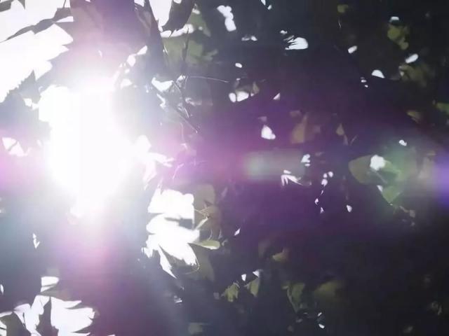 遮光罩的作用是什么（遮光罩用途详解）(6)