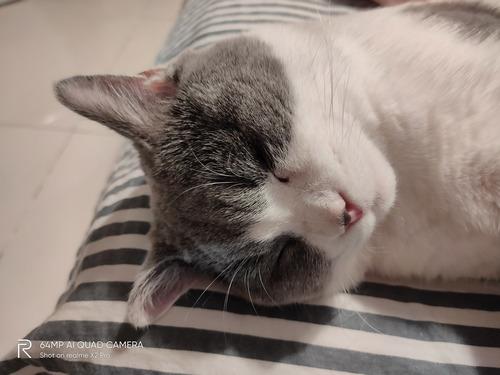 realme x2 pro参数配置（realme x2 pro 深度体验）(7)