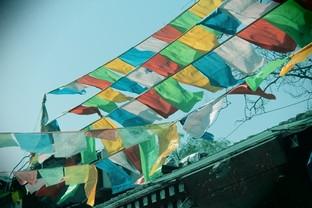 佳能1300d怎么样（佳能eos1300d值不值得买）(27)