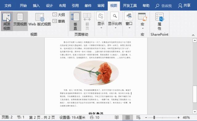 word视图模式有哪几种（5个超级好用的word排版技巧）(9)