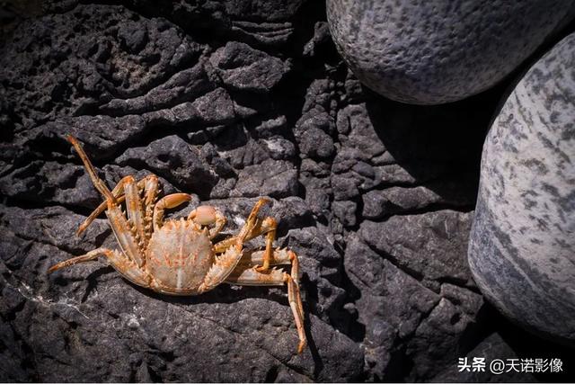 徕卡相机怎么样（徕卡相机值不值得入手呢）(23)