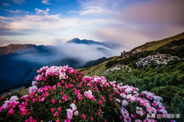 徕卡相机怎么样（徕卡相机值不值得入手呢）(20)